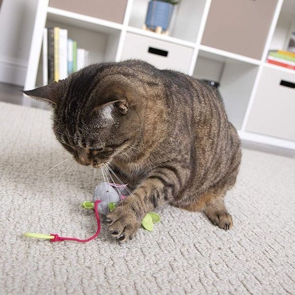 SmartyKat Bouncy Mouse Bungee Dangler Plush Cat Toy - Randomly Selected Color - Picture 7 of 8